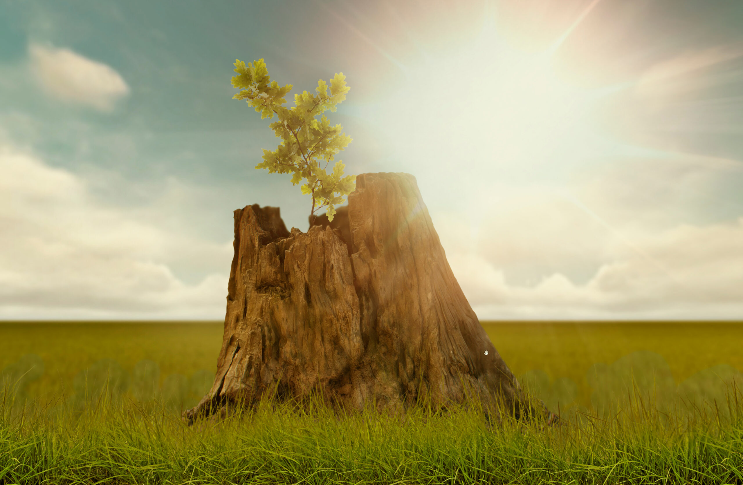 Cover image for Jeremiah Chapter 23